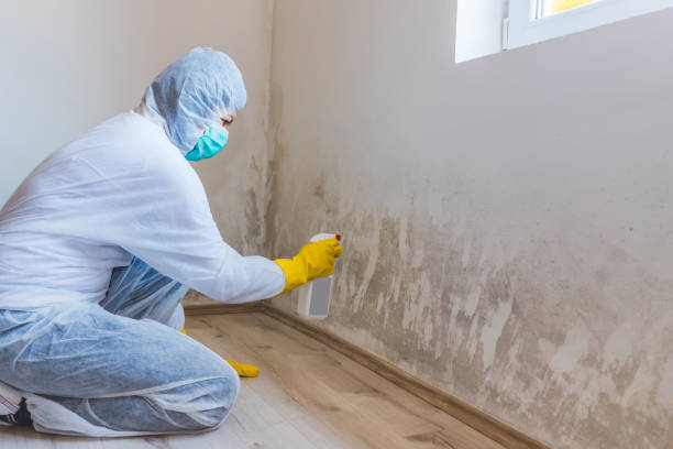 Crawl Space Mold Remediation treatment of floor joists in Saluda