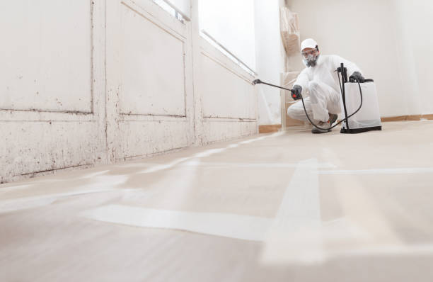 Black mold remediation team in Saluda