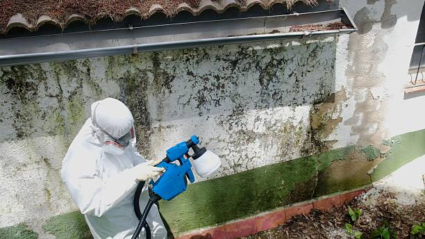 Mold Remediation service in Saluda, Saluda, VA